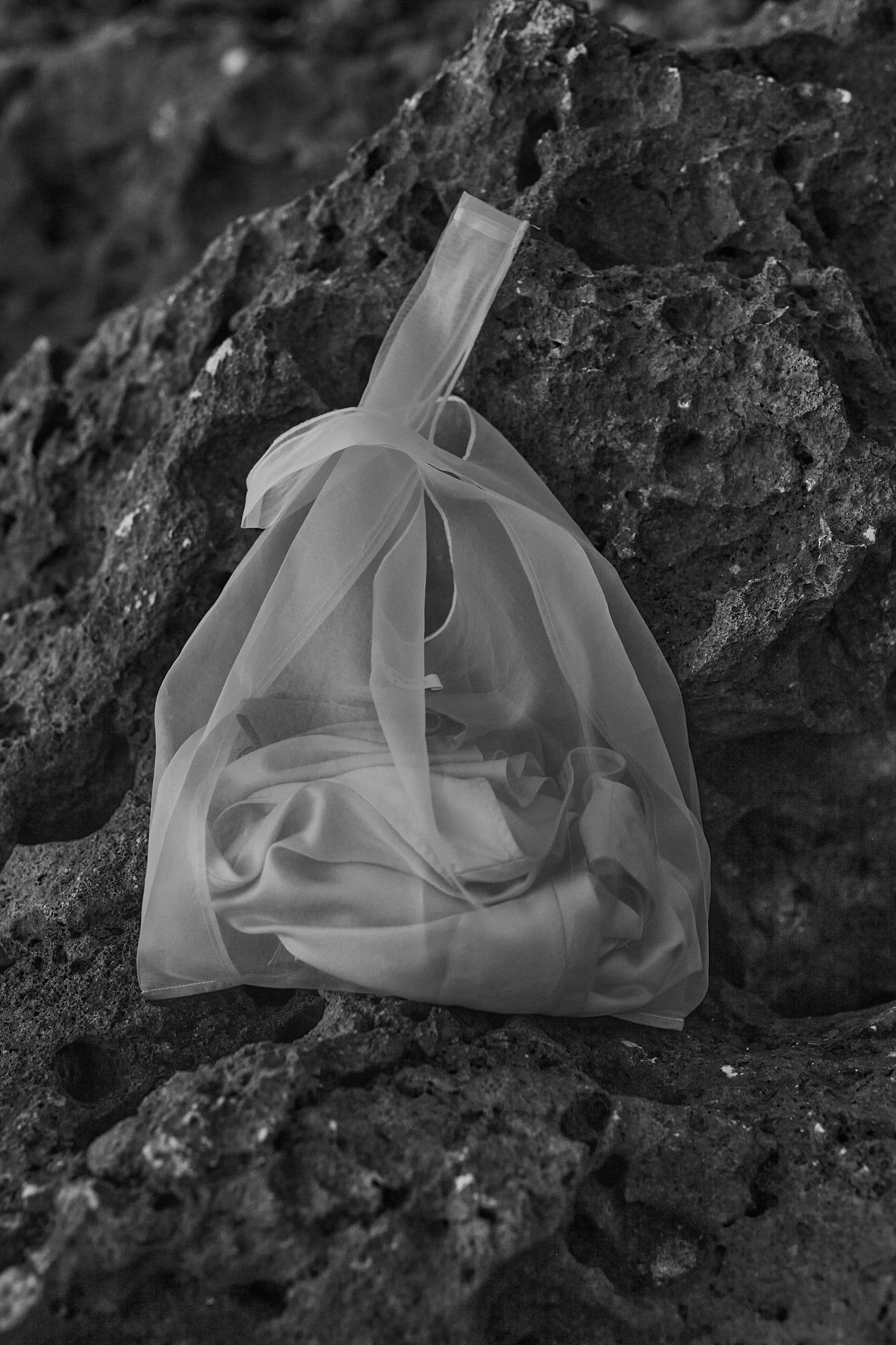 Silk Organza Tote Bag